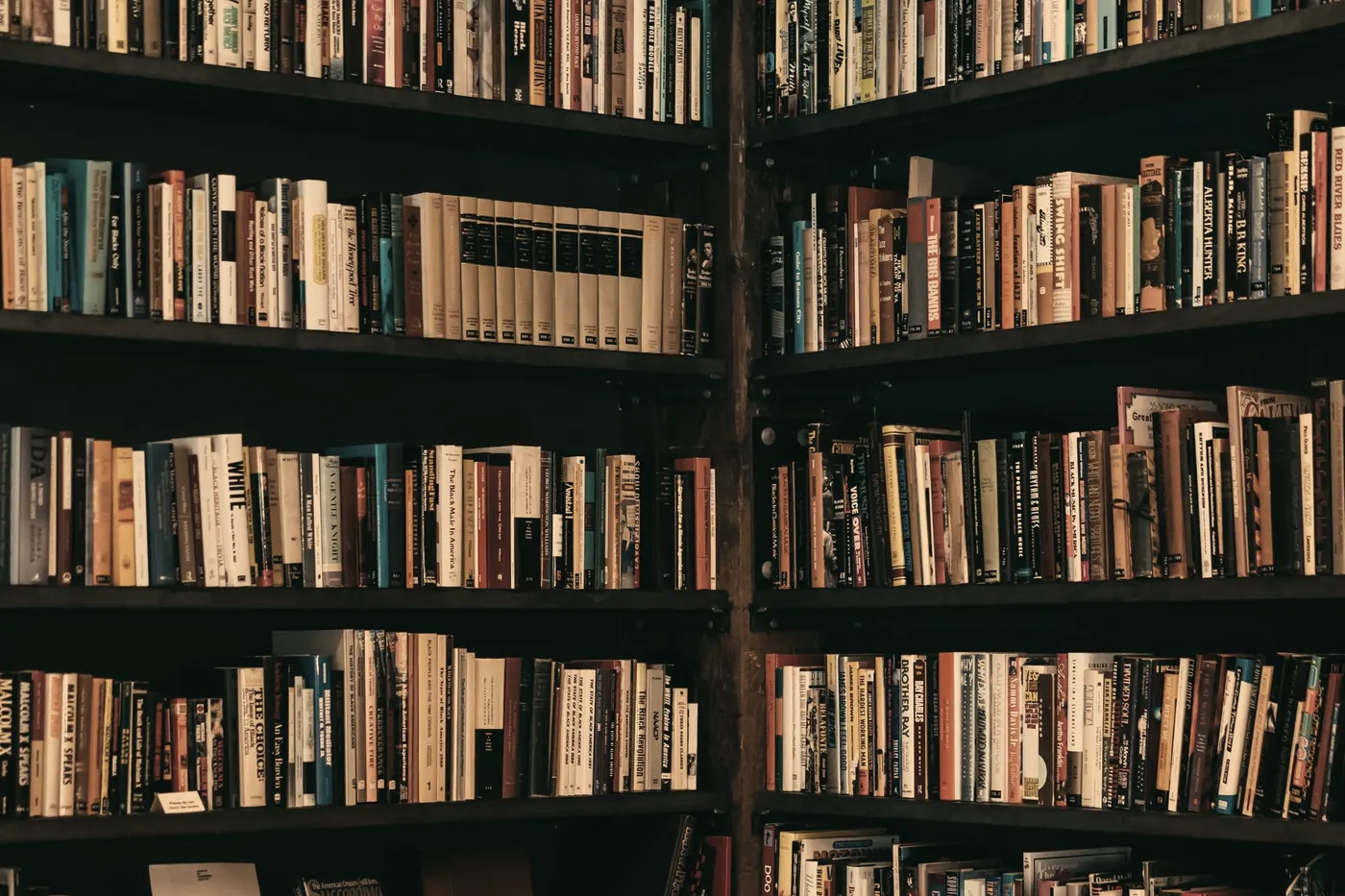 Shelves of law reports
